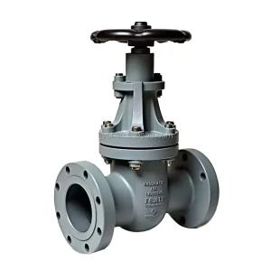 Gate Valve 201 304 304L Check Valve 316 ASTM Stainless Steel Valves