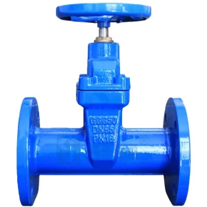 Gate Valve 3/4 Inch Compatible DN250-DN1200 PN16 Full Bore Flanged BSP NPT Ductile Iron High Strength Water Gas HVAC WRAS