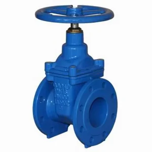 Gate Valve