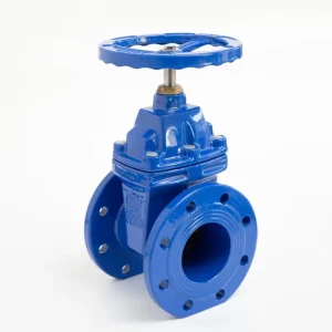 Gate Valve 4 Inch Ductile Iron Flange Non Rising Stem Elastic Seat Soft Sealing Gate Valve for Heating Pipeline