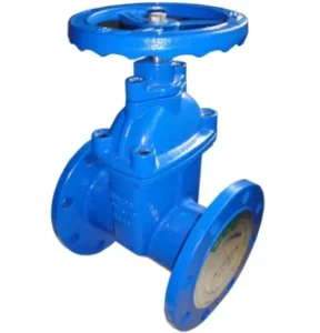 Gate Valve Cast Iron for Water Size DN50-DN300 AWWA C515 Resilient Seat
