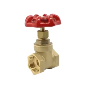 Gate Valve Control Valve BRASS GATE VALVE