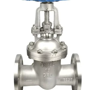 Gate Valve LVF CF8 CF8M CF3 CF3M CA15 Stainless Steel Gate Valve API 600