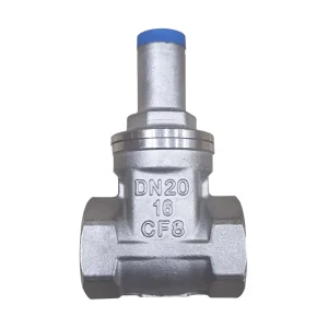 Gate Valves 3/4in DN20 Anti Theft Stainless Steel CF8M Soft Sealing Threaded Gate Valve with Lock