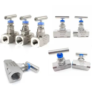 Gauge Needle Valve Stainless Steel 304 316 316L WCB A105 Double Ferrule NPT BSP ANSI API Angle Type