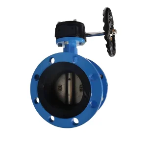 Gear Operated Flange Soft Sealing Butterfly Valve Material Body Ductile Cast Iron Disc SS316 Seal EPDMPN16)