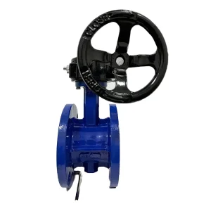 Gear Operated Flange Type Butterfly Valve 4″ 6″ 8″ 150LB for Chemical Water Treatment