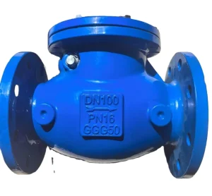 German & American Standard Flange Check Valve Hard Seal Rotary Check Valve with Plate