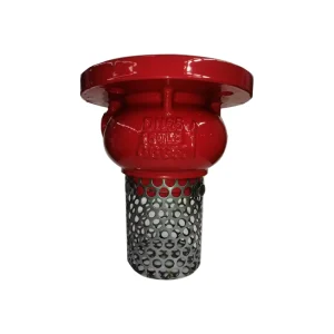 German Standard H42X Foot Valve OEM Customized in China Factory