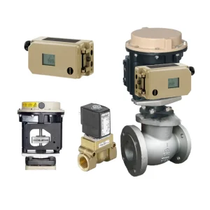 Globe Control Valves With Samson 3730 3 Positioner 3372 Pneumatic Diaphragm Actuator and Buerkert 5404 Solenoid Valve