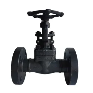 Globe Valve J41H 25C DN25 Forged Steel Rising Stem High Temperature Manual Valve for Petrochemical Use