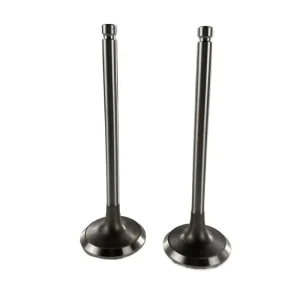 Good Quality Diesel 6BT5.9 Engine Spare Part Exhaust Valve 3802356