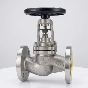 Graphite-Packed Stainless Steel Globe Valve SS 316L/CF8M 2-8 Inch Class 150-600 Flanged High Temperature