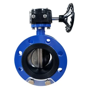 Gray Cast Iron Butterfly Valve Water DN50 DN600 Manual Double Flange Normal Temperature 18 Month Warranty PN10 PN16 EN558 EN593