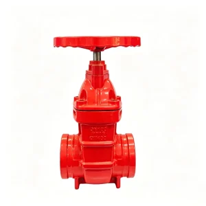 Grooved Elastic Ductile Iron OSY Manual Gate Valve for Water Firefighting and Sprinkler Systems Customisable