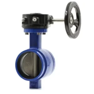 Grooved End Butterfly Valve for Fire DN50 PN16 Ductile Iron Body Manual
