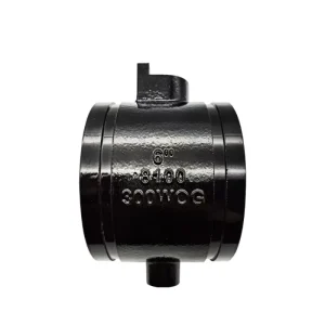 Grooved Swing Check Valve Grooved Butterfly Valve Metal Casting Service with Precision CNC Machining