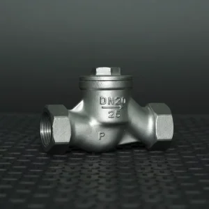 H11 C Carbon Steel H11 B Stainless Steel Series Lift Female Thread Check Valve