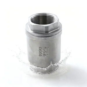 H12W 16P 304 Stainless Steel Vertical Check Valve Internal Thread Lift Type Pipeline Non Return Valve WOG200PSI