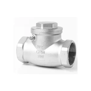 H14 Horizontal Check Valve Stainless Steel Cf8 Female Threaded Swing Check Valve