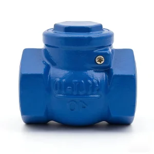 H14T Threaded Check Valve PN10 Cast Iron with Copper Seal Internal Threaded Single-Direction Valve Household Small Pipe Valve