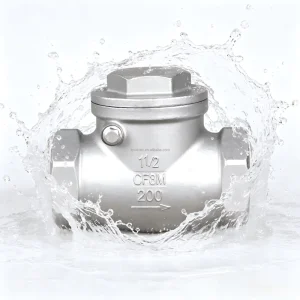 H14W 16P SS304 Swing Check Valve Female Screw Thread BSP NPT CF8 Stainless Steel One Way Anti backflow Non Return Check Valve