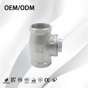H14W Stainless Steel Horizontal Swing Type SS304 SS316 Female Threaded Non return Check Valve for Water Plumbing Pipe System