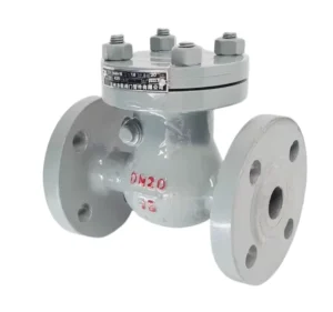 H44H 16C 25C Cast Steel Swing Flange Check Valve DN50 One Way Non Return Valve Grey Normal Temperature for Water & Steam