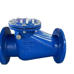 H44T Hard Sealed Cast Iron One-Way Check Valve Swing Check Valve with Copper Core Prevent Water Backflow Flange Check Valve