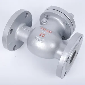 H44W Manual Low Temperature Stainless Steel Swing Check Valve Flanged Connection DN15 300 PN16 Non Return Valve for Liquid