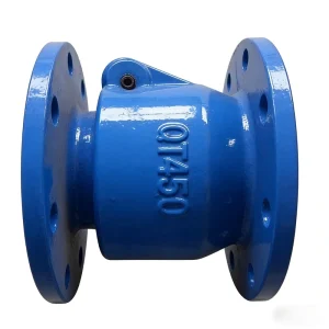 H44X PN16 Rubber Flap Check Valve Flanged Soft Sealing for Water Supply Drainage Heating Ventilation and Pump Applications