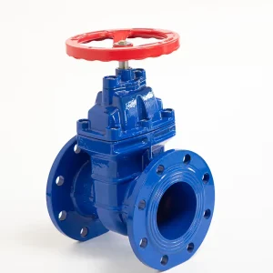 HONGTUO Heavy Type Hard Seat Cast Iron Media Ductile Gate Valve DN100 Manual Power for Water