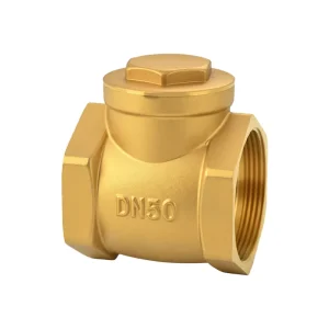 HYXD OEM Brass Swing Check Valve 2 Inch DN50 BSP Female Thread High Pressure Steel Sealing Plumbing Water Gas