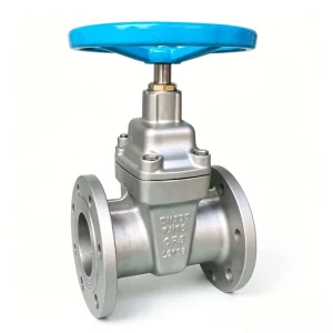 Heavy Body Stainless Steel Gate Valve Cast Steel Gate Valve Water PN16 2in-12in Port Size