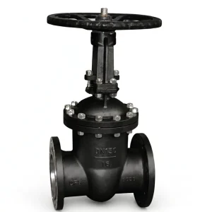 Heavy Duty 300LB CF8M Stainless Steel Gate Valve API 603 Flanged SS316 Corrosion Resistant Wedge Valve for Marine Oil Gas