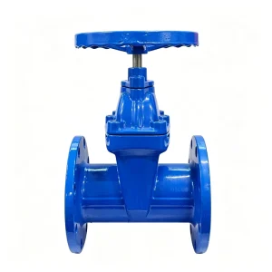 Heavy Duty AWWA Non Rising Stem Soft Seals Wisdom Gate Valve ANSI Ductile Iron Flanged Water DN25-DN400 for Industry