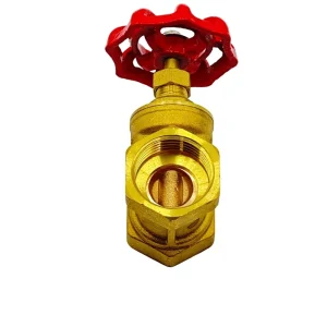 Heavy-Duty Brass Gate Valve Water Manual Structural Control Low Temperature 1 Year Warranty OEM Customization 1 in Port Size