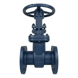Heavy Duty GOST Gate Valve 30s41nzh Z41H 16C PN16 PN25 Cast Carbon Steel Flanged Manual Water ISO9001 Certified WOG