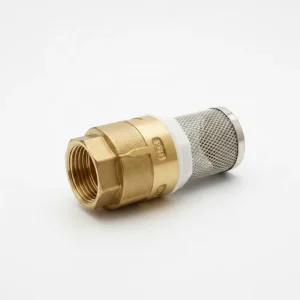 Heavy Duty Manual Brass Vertical Check Foot Valve with SS Filter for Water Pump