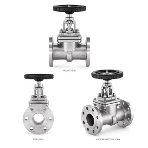 Heavy Duty Stainless Steel 316 (CF8M) Manual Gate Valve J41W 16R CF3M PN16 Flanged Industrial for Chemical Oil Gas
