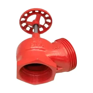 Heguang Fire Fighting PN16 Ductile Cast Iron Globe Angle Valve 45 2 1 2inch (76mm) Thread Durable Easy Installation Customizable