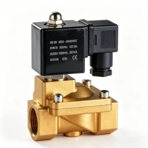 High Compressive Resistance RKO Thread Solenoid Valve G NPT Thread Connection Multiple Sealing Material EPDM