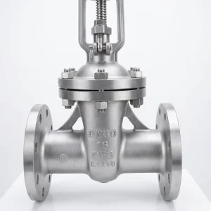 High Performance DN200 PN16 Flanged Rising Stem Wedge Gate Valve with Metal Seated Bi Directional