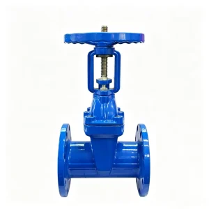 High Performance Durable Ductile Iron Manual Flanged Soft Seal Rising Stem Gate Valve Customization Size Low Pressure DIN ANSI