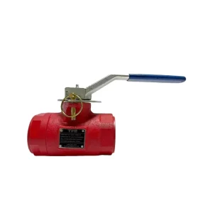 High Performance Manual OEM Customized Size Brass Ball Valve Iron Handle 2 Thread Connection 1 Year Warranty Water HVAC