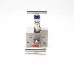 High Pressure 2-Valve Manual Manifold with Needle Valves for Gas/Water/Oil 1/2 FNPT Port Size
