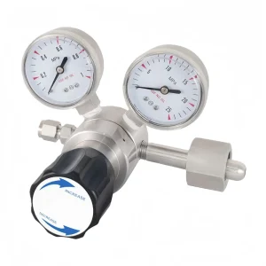 High-Pressure Air Pressure Reducing Valve with Double Gauge 316 Stainless Steel Gas Regulator for Laboratory Use