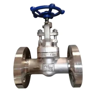 High Pressure Anti Corrosion CF8M Gate Valve with Locking Device