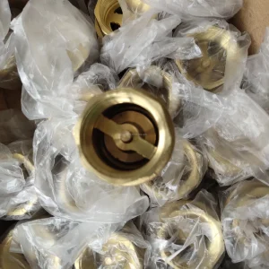 High Pressure Forged Brass Vertical Check Valve DN32 NPT Thread Manual Power Non Return for Water