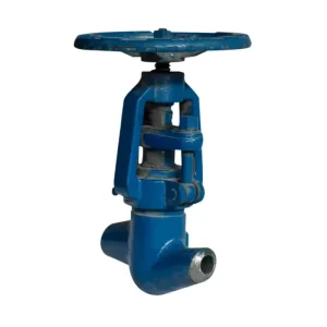 High Pressure Forged Globe Valve with Pneumatic Actuation Customized OEM Socket Weld